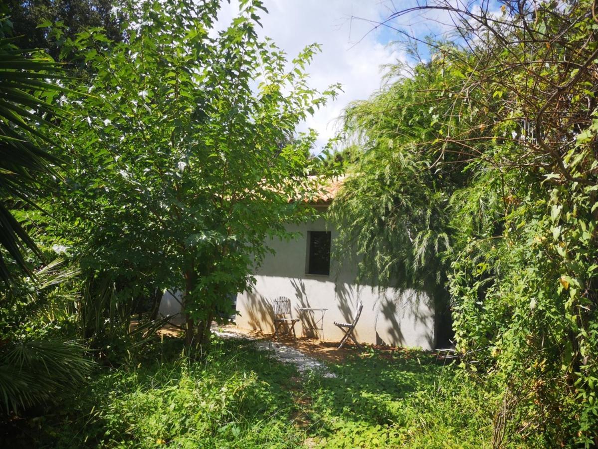 Villa Griseor Porto-Vecchio  Extérieur photo