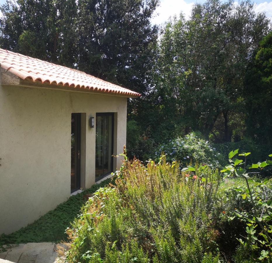 Villa Griseor Porto-Vecchio  Extérieur photo
